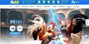 Trại Đá Gà Trực Tuyến Siêu Kịch Tính Chỉ Có Tại FB68